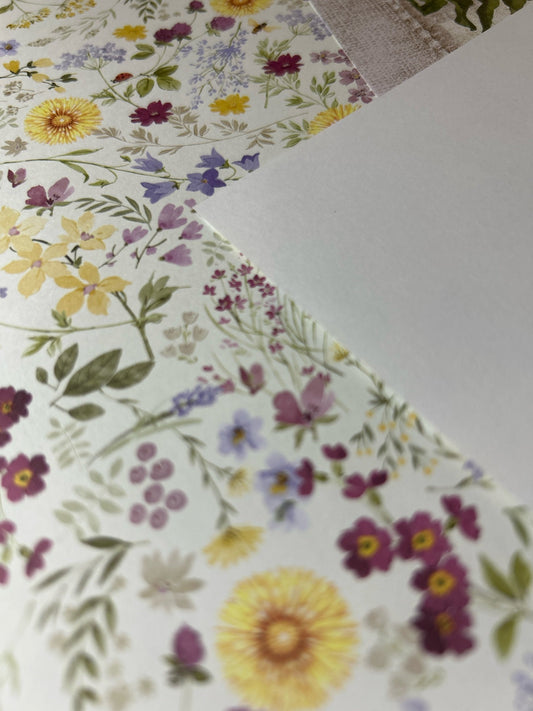 Gnome and mushroom folio